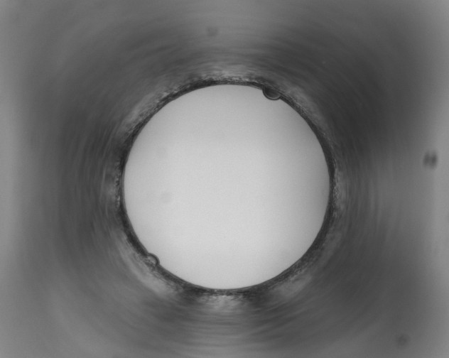 X0000112540449200909141316