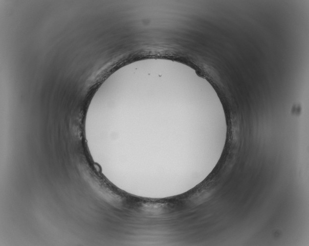 X0000112540450200909141316