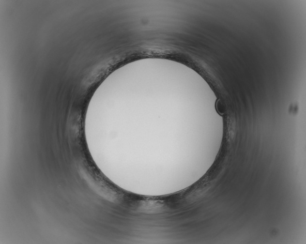 X0000112540451200909141316
