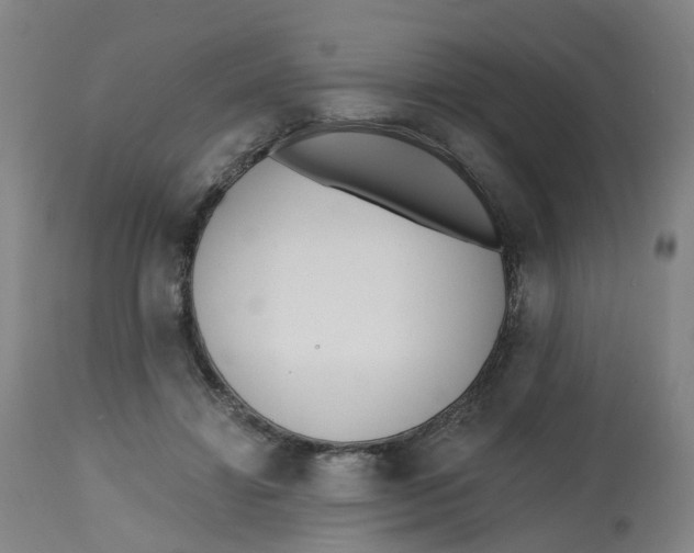 X0000112540452200909141316