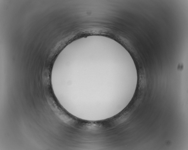 X0000112540453200909141316