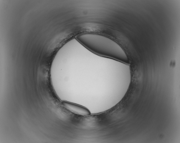 X0000112540456200909141316
