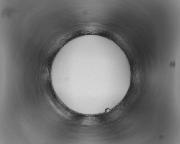 X0000112540459200909141316