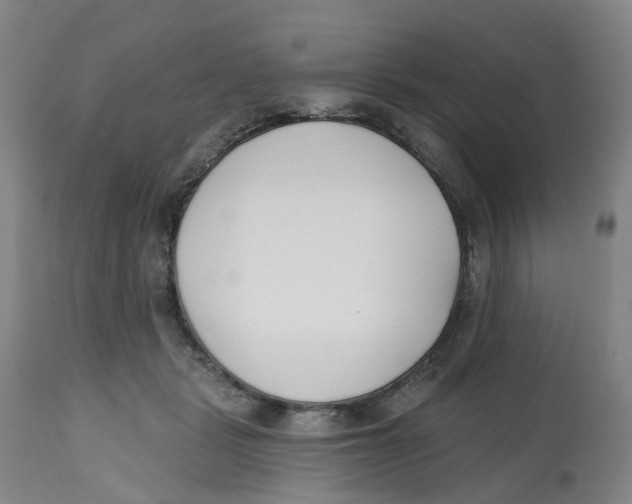 X0000112540461200909141316
