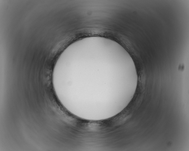 X0000112540462200909141316