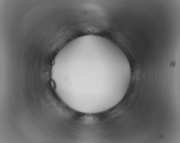 X0000112540464200909141316