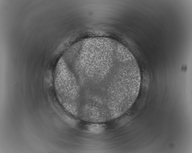 X0000112540465200909141316