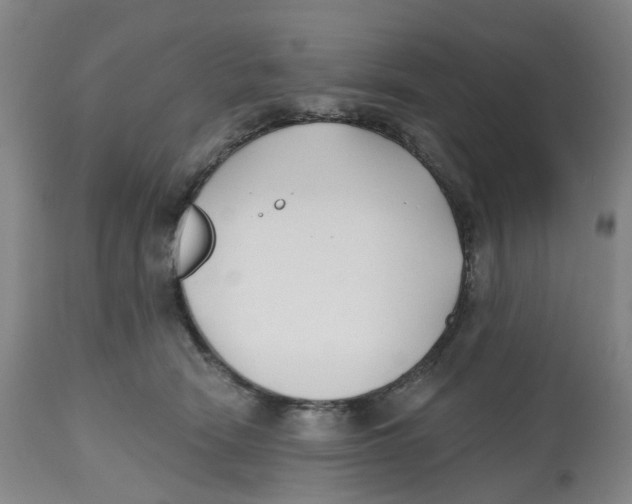 X0000112540466200909141316