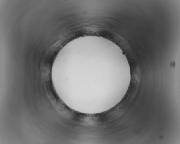 X0000112540468200909141316