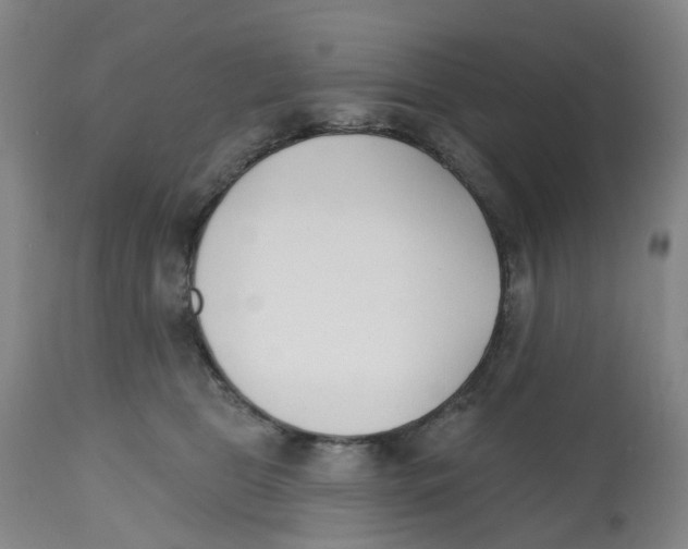 X0000112540469200909141316