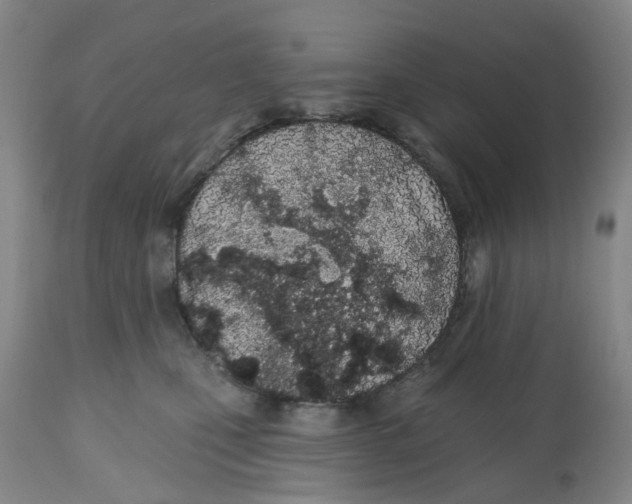 X0000112540471200909141316