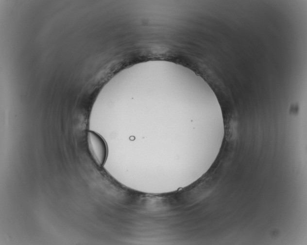 X0000112540472200909141316