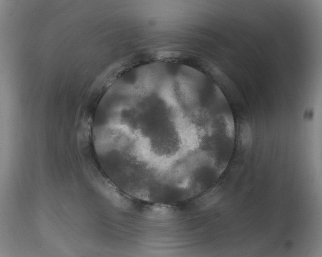 X0000112540475200909141316