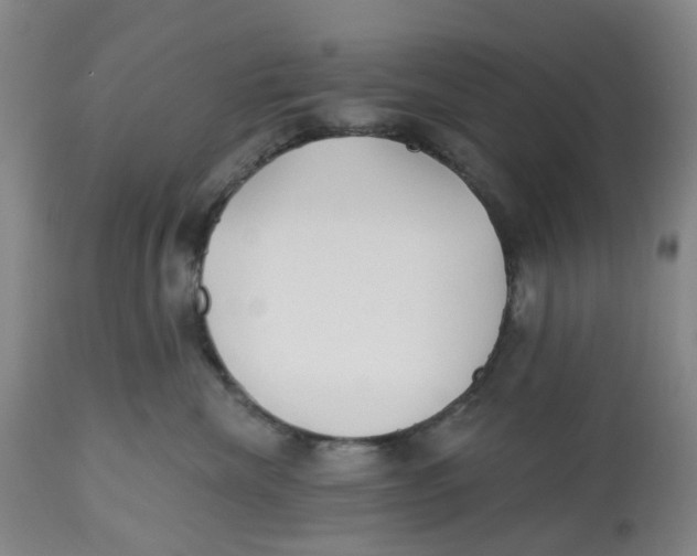 X0000112540476200909141316