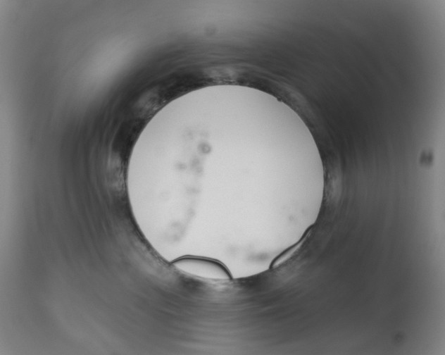 X0000112540477200909141316