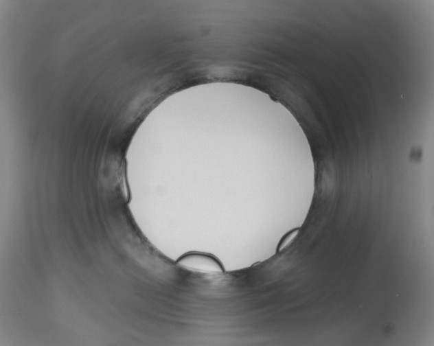 X0000112540478200909141316