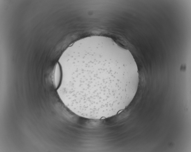 X0000112540479200909141316