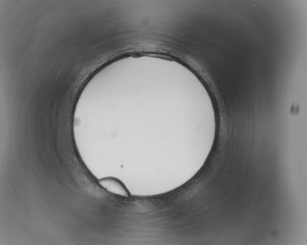 X0000112540481200909141316