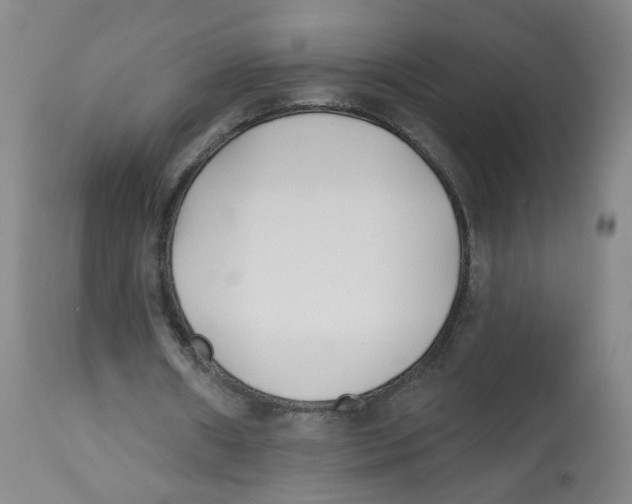 X0000112540482200909141316