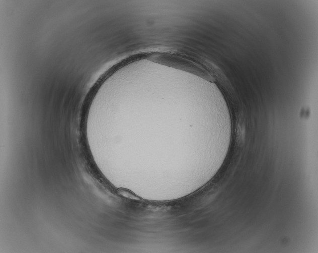 X0000112540484200909141316