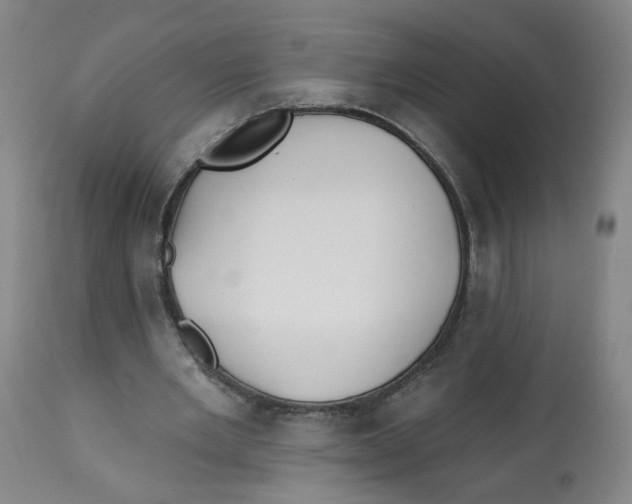 X0000112540485200909141316