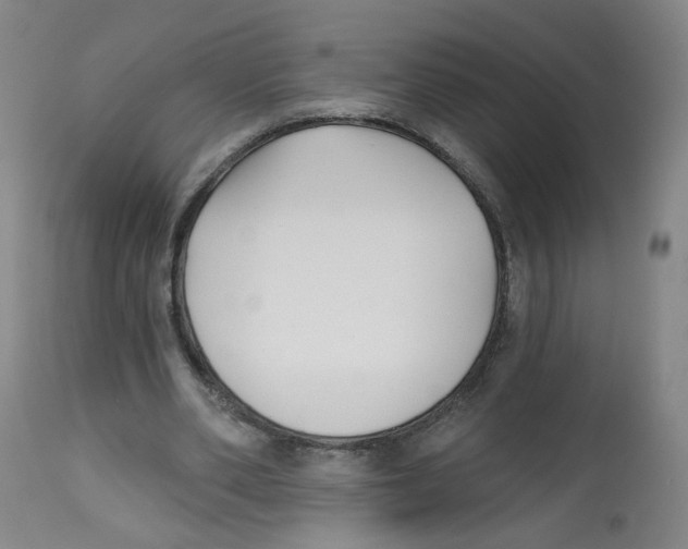 X0000112540486200909141316