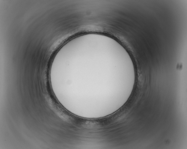X0000112540487200909141316