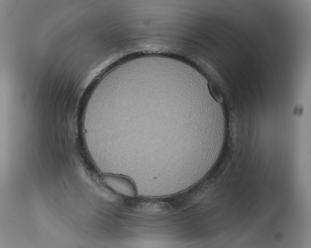 X0000112540488200909141316
