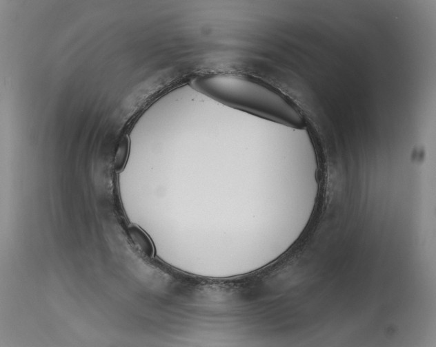 X0000112540489200909141316