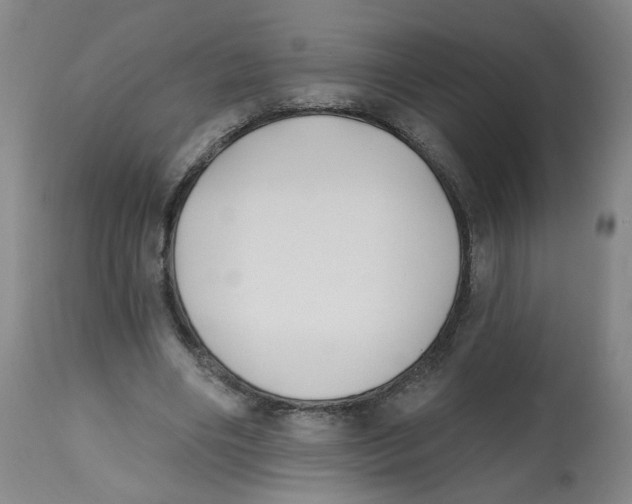 X0000112540490200909141316