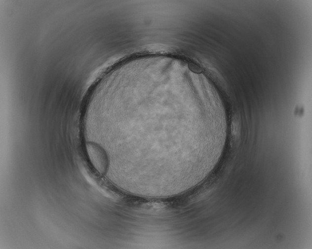 X0000112540492200909141316
