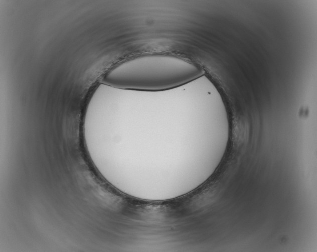 X0000112540493200909141316