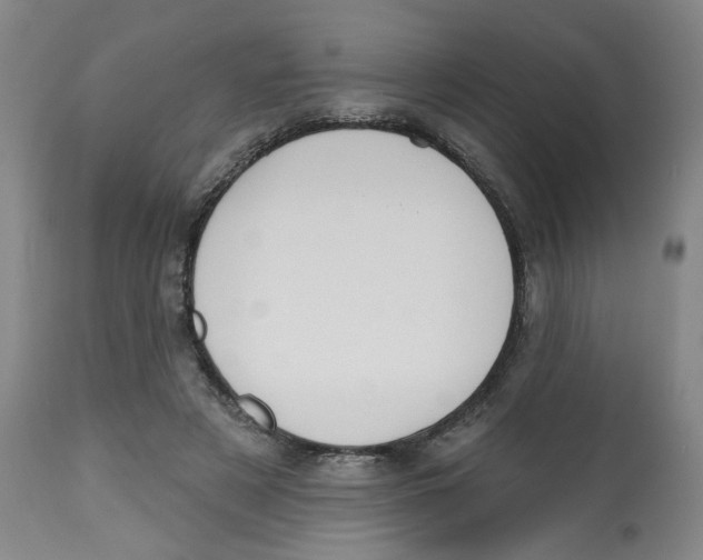X0000112540497200909141315
