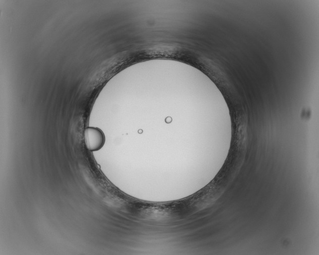 X0000112540498200909141315