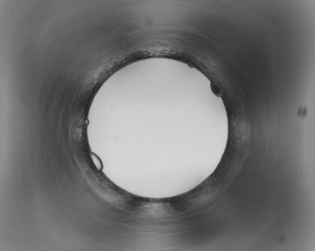 X0000112540499200909141315