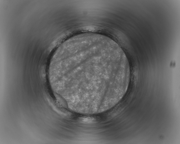 X0000112540500200909141315
