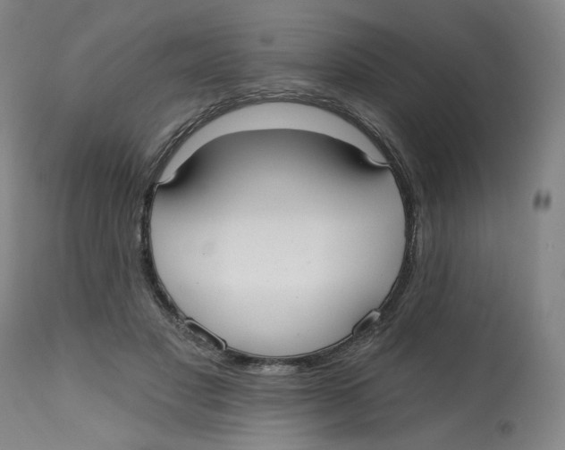 X0000112540501200909141315