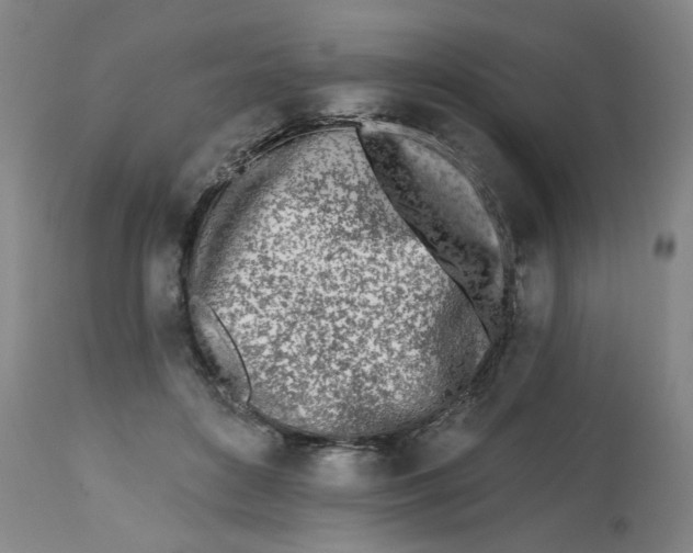 X0000112540504200909141315
