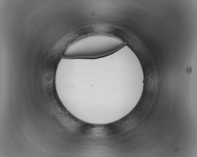X0000112540505200909141315