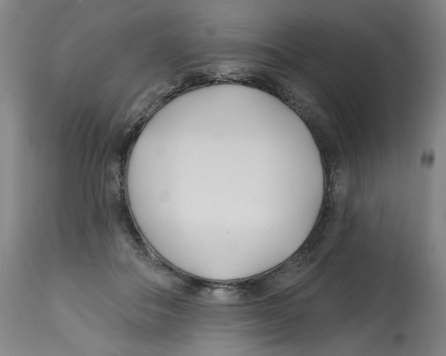 X0000112540506200909141315