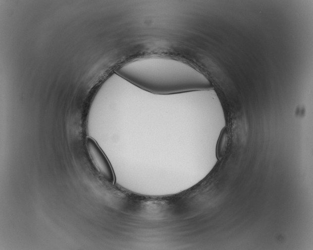 X0000112540508200909141315