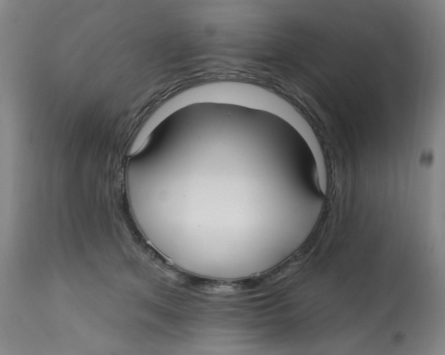 X0000112540513200909141315