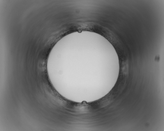 X0000112540514200909141315