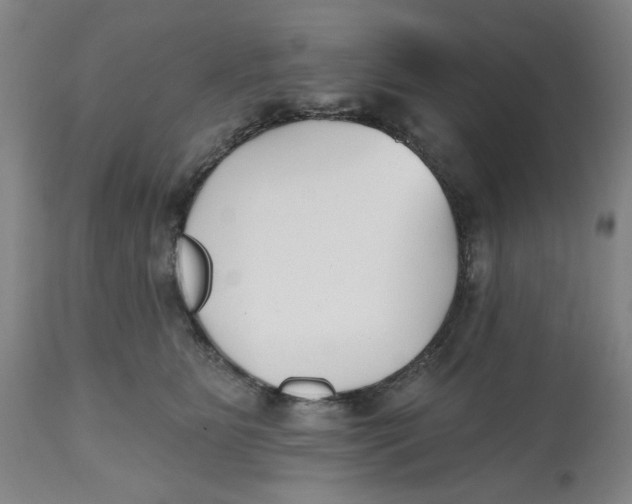 X0000112540515200909141315