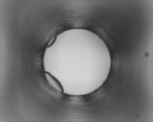 X0000112540516200909141315