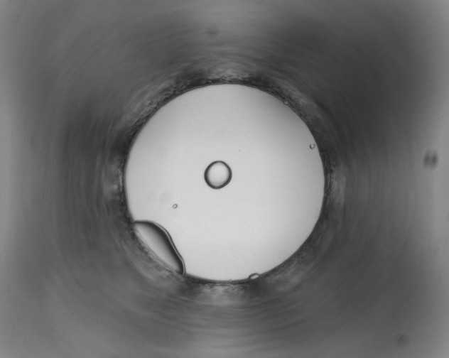 X0000112540517200909141315