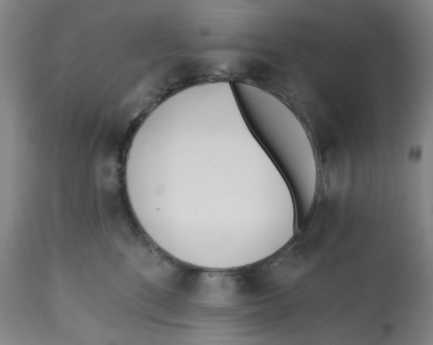 X0000112540520200909141315