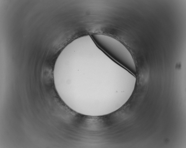 X0000112540521200909141315