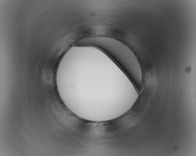 X0000112540524200909141315