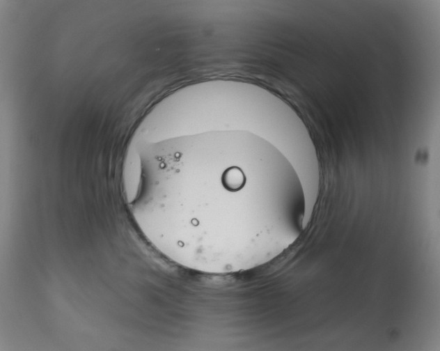 X0000112540525200909141315